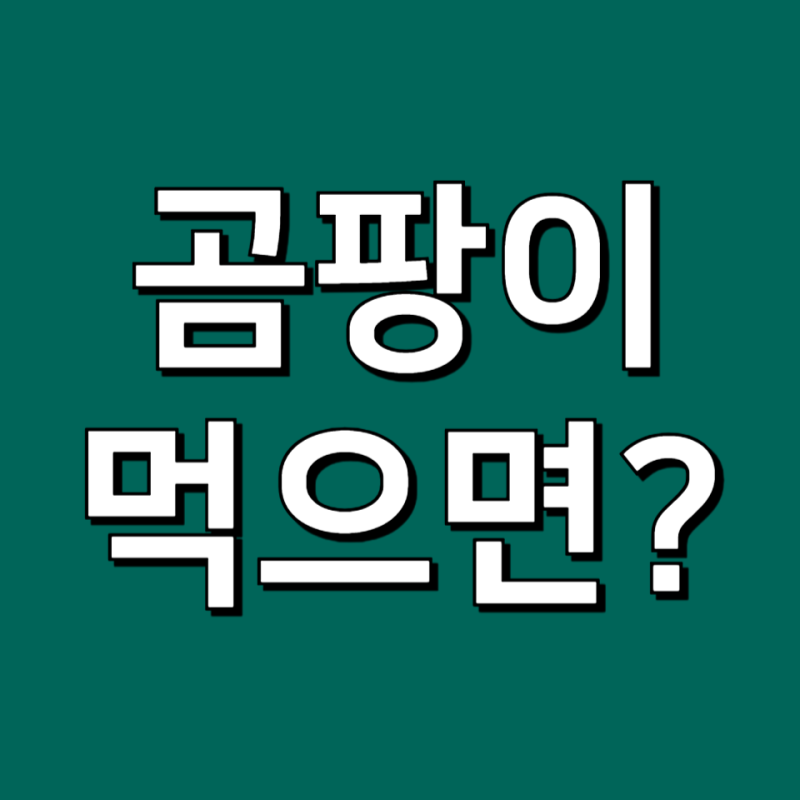 곰팡이 핀 쌀 음식 먹었을때 빵 곰팡이 먹으면 안돼요