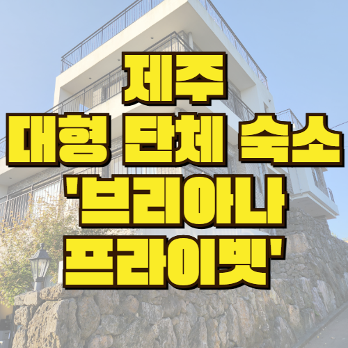  제주 독채 펜션 추천: 브리아나프라이빗에서 워크샵과 휴식의 완벽한 조화