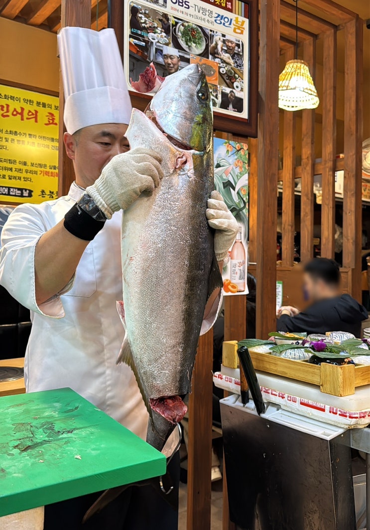  인천 송도 대방어맛집 기름 가득한 겨울 대방어가 맛있는 촌놈횟집