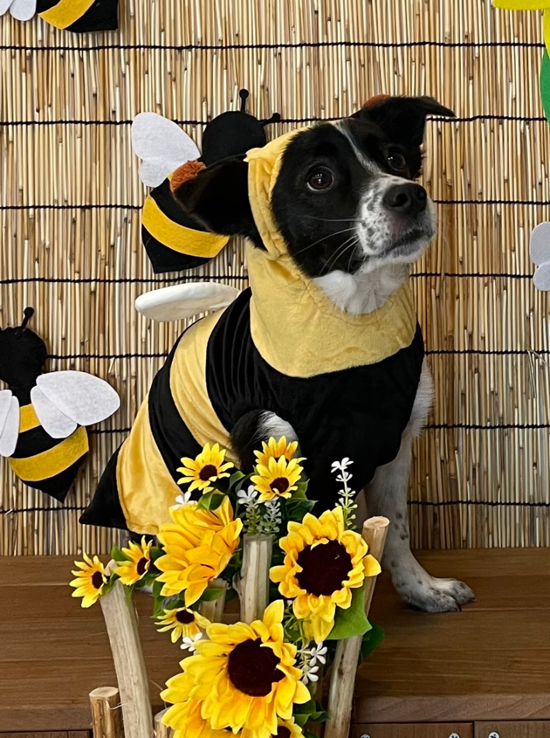 사진 6