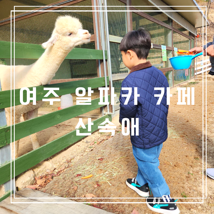  알파카 카페 산속애 놀 거리 가득한 여주 아이랑 가볼 만한 곳