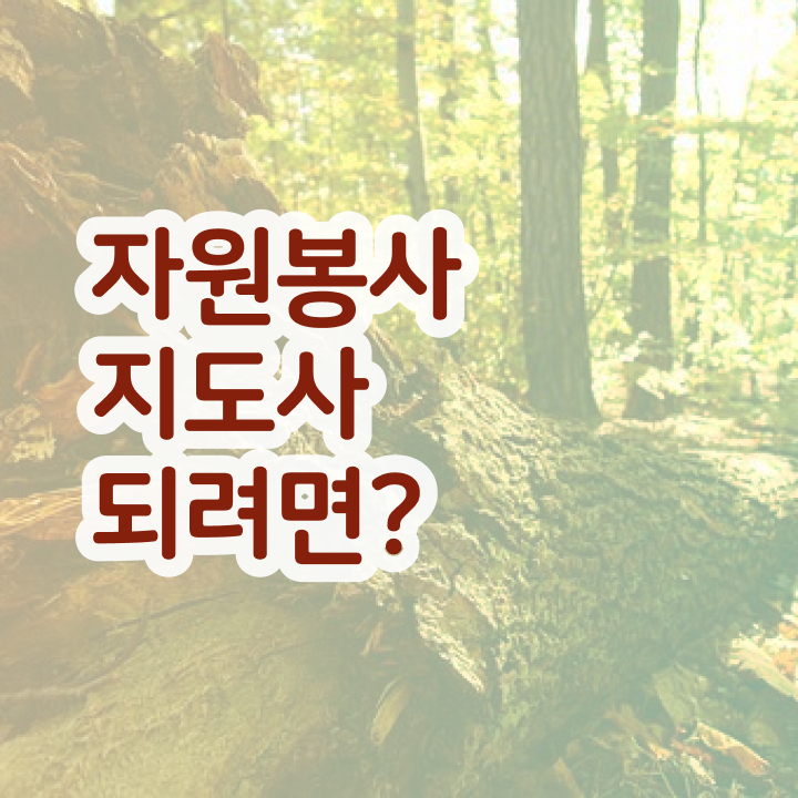  , 자원봉사지도사 자격증 비용없이 온라인으로 합격정보 콕콕 짚어드립니다