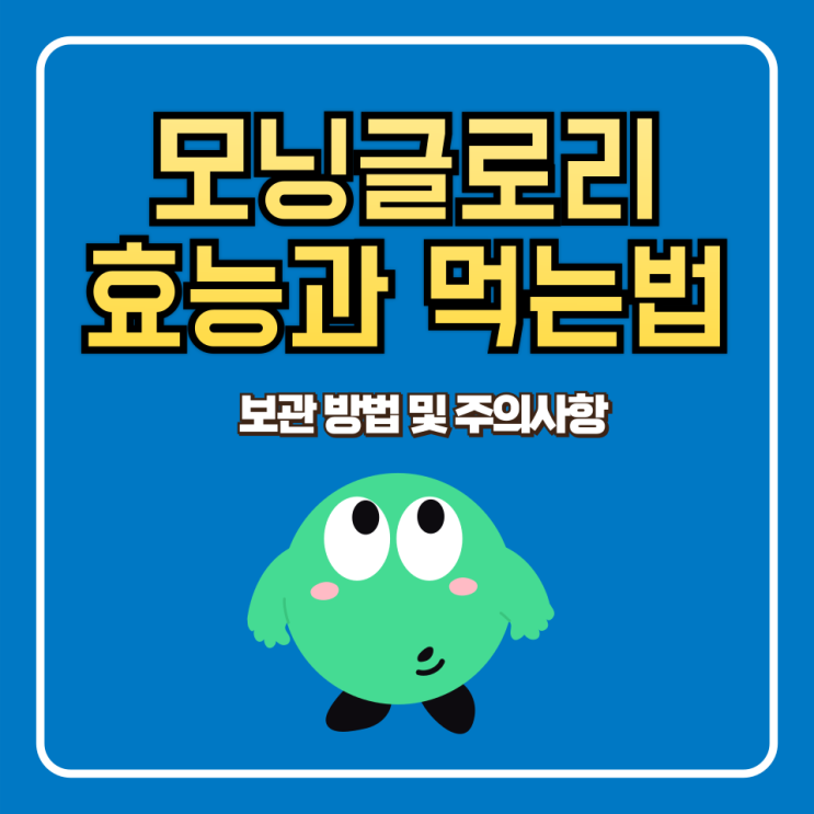 모닝글로리 효능 먹는 법 부작용 및 주의사항 보관 방법 포함