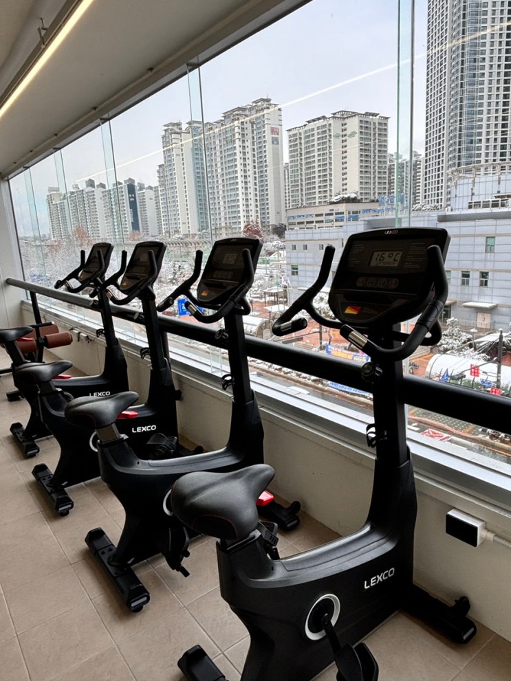  일산역 헬스장 온플릭휘트니스 일산점 리뷰