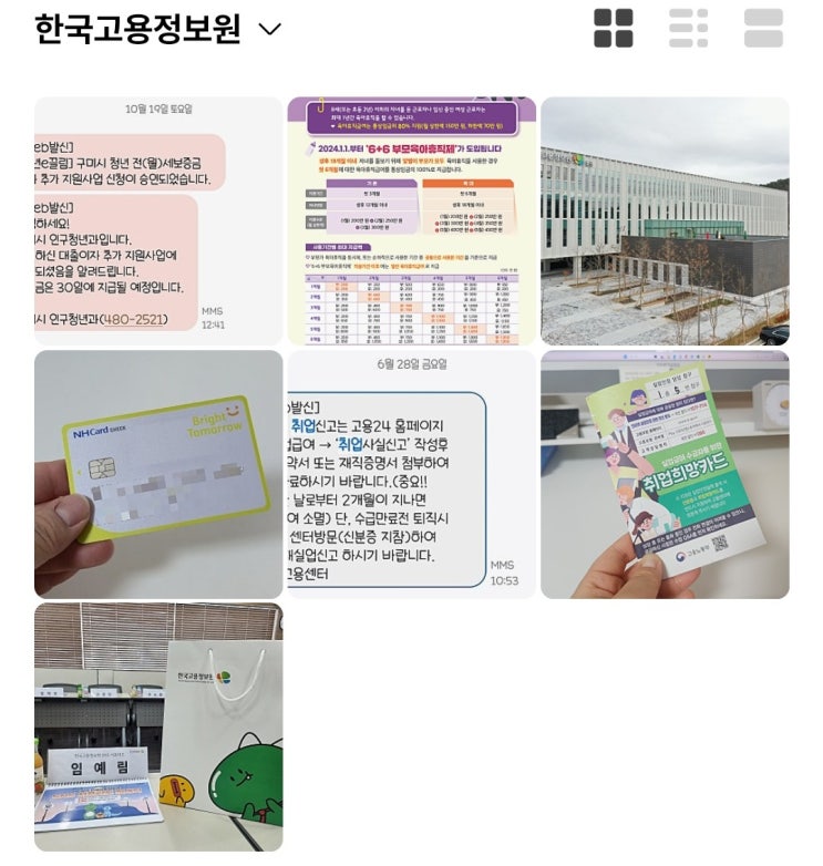 한국<b>고용정보원</b> 서포터즈 1기 <b>24</b>년도 8월~12월 활동후기