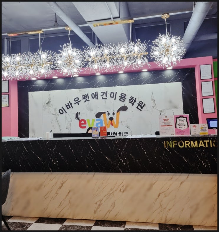  부산 애견미용학원 안정된 실력과 경험을 집중 교육하는곳
