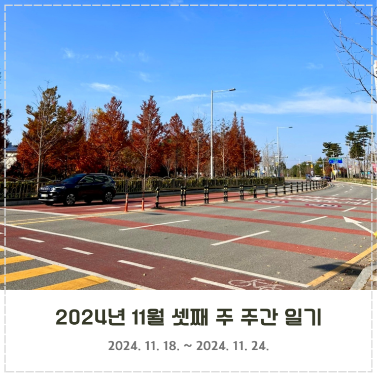  2024년 11월 셋째 주 주간 일기 (11/18~11/24)