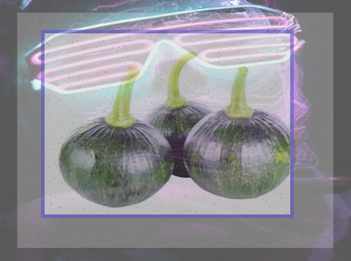 <b>씨름 코치</b> 인터뷰 교육 철학