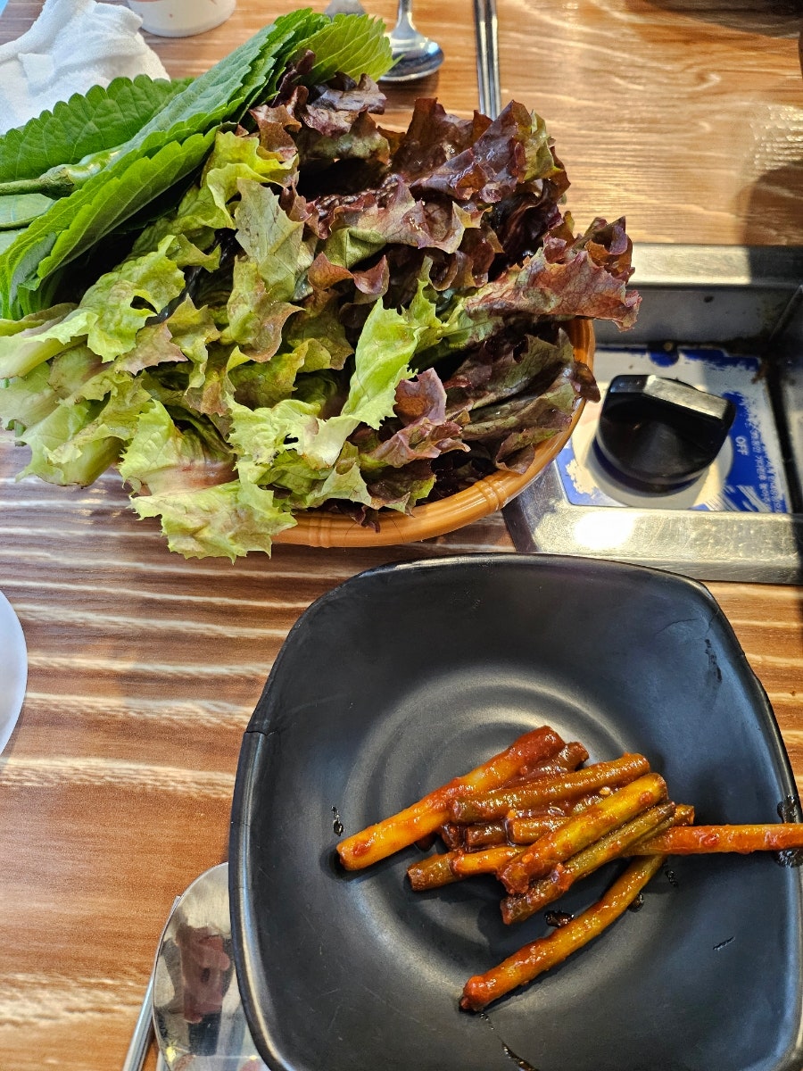 도나도나 사진 3