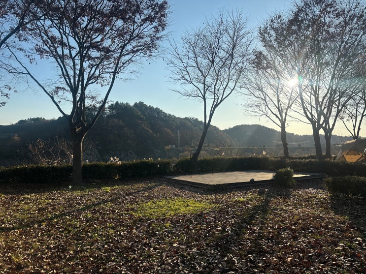 대전 근교 금산 인삼골 오토 캠핑장 동계 캠핑 후기 추천사이트
