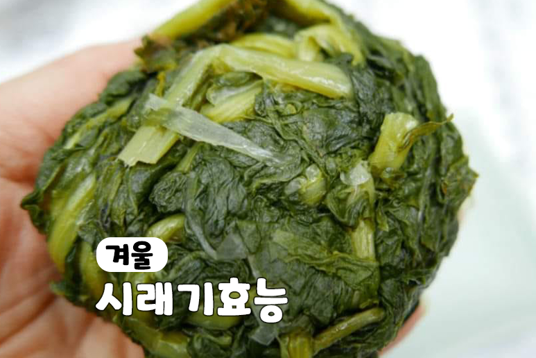 시래기 효능 무우청 시래기 (무청 시래기 효능)