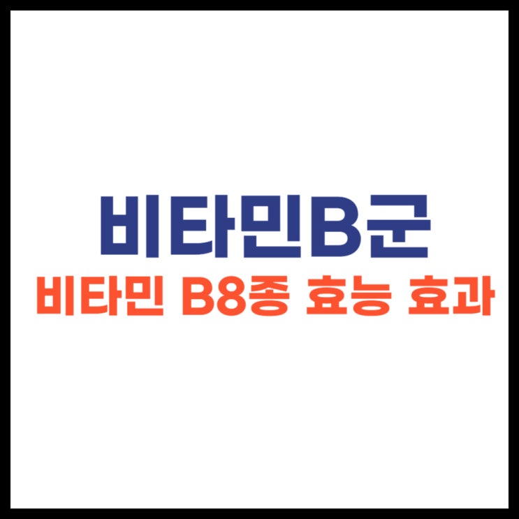  비타민비군 비타민 B8종, C 효능 효과