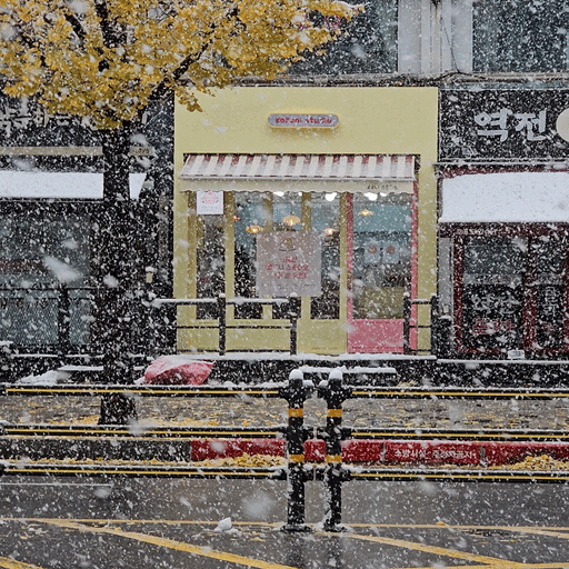 봉천동 신림선 당곡역 소품샵 코코니 스튜디오