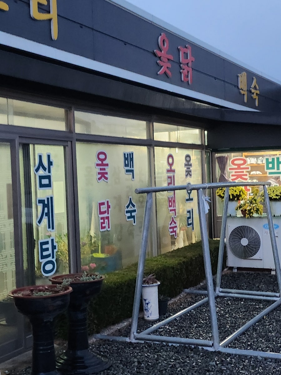 평촌토종옻닭 사진 5