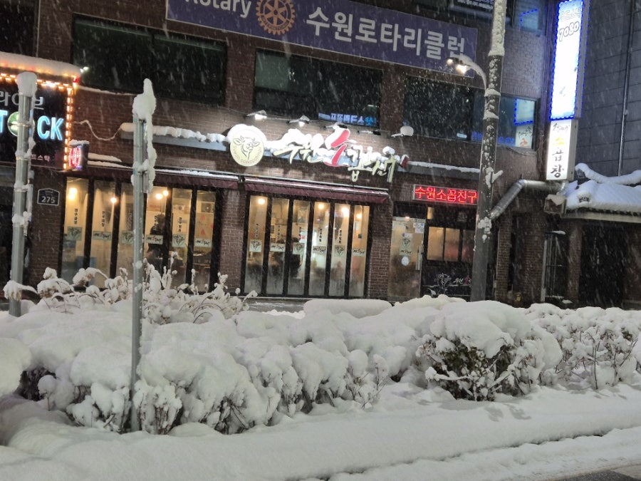 수원소꼽친구 사진 2
