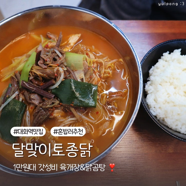  대화역맛집 달맞이토종닭 혼밥하기좋은곳