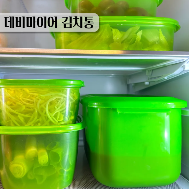  데비마이어 김치통 1인가구 김치보관 김장철 대비