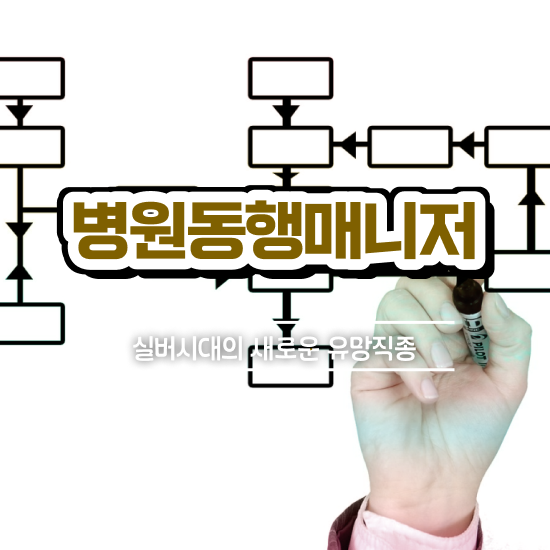  병원안심동행매니저 병원동행매니져 자격증 취득 노하우 , 무료과정 혜택
