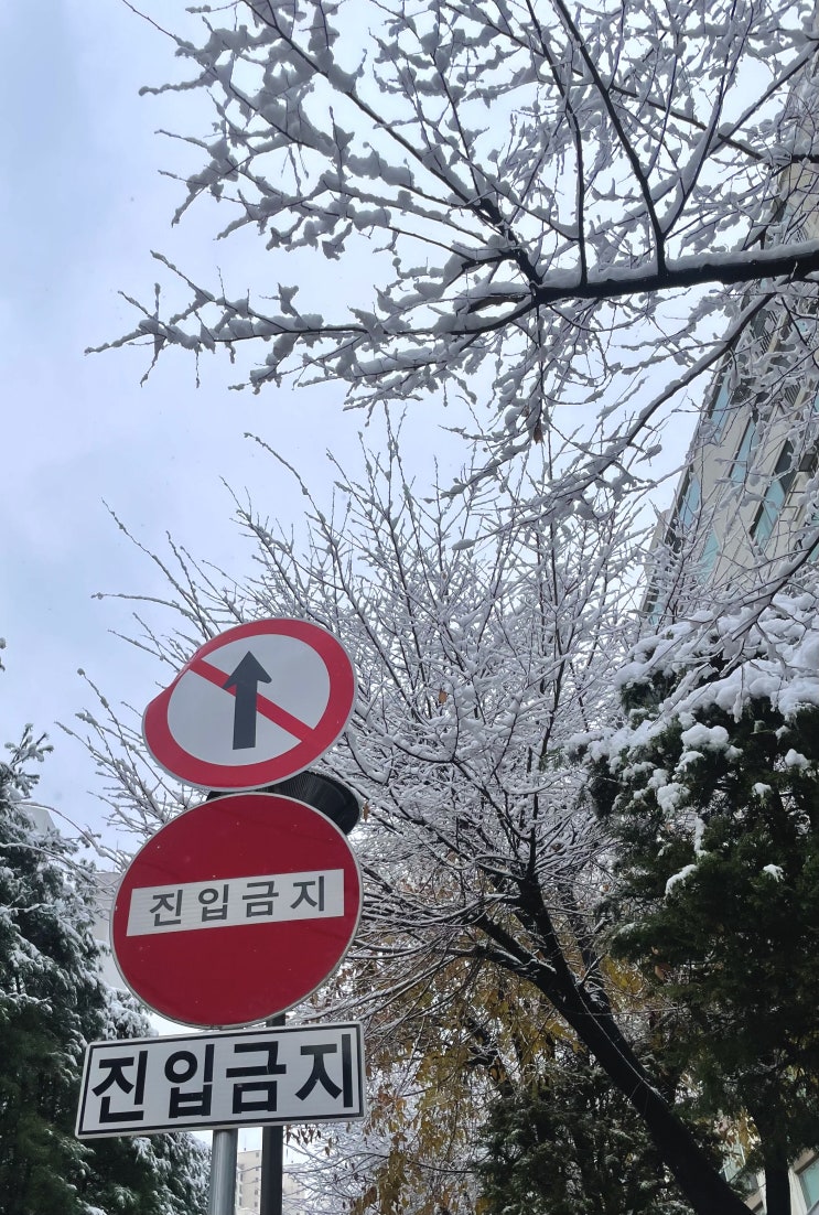  [운동일기] 18. 벌써 겨울 ️