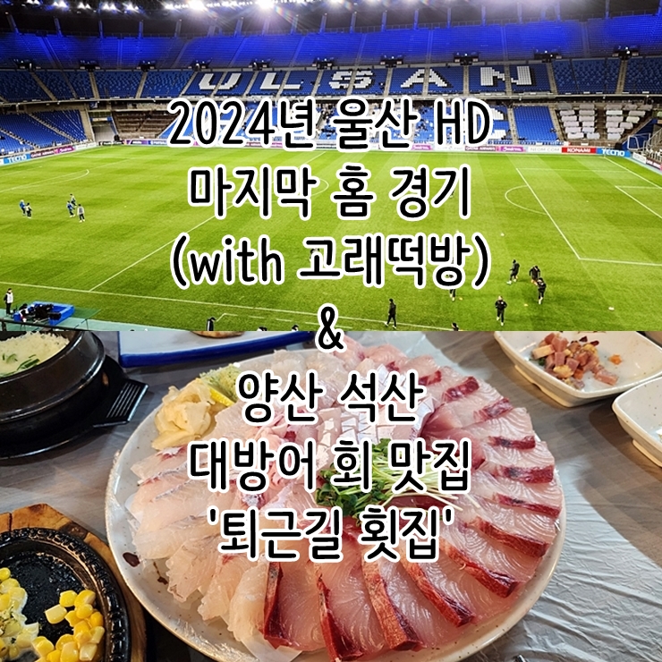  2024년 울산 HD 마지막 홈 경기 (with고래떡방) & 양산 석산 대방어 회 맛집 '퇴근길 횟집'