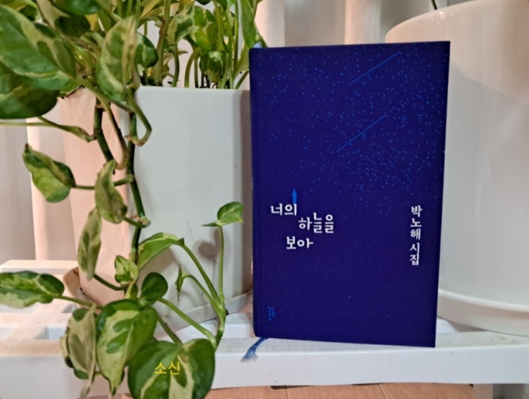 시_ 작게 살지 마라, 못견딜 고통은 없어 박노해 시 시_ 작게 살지 마라, 못견딜 고통은 없어 박노해 시