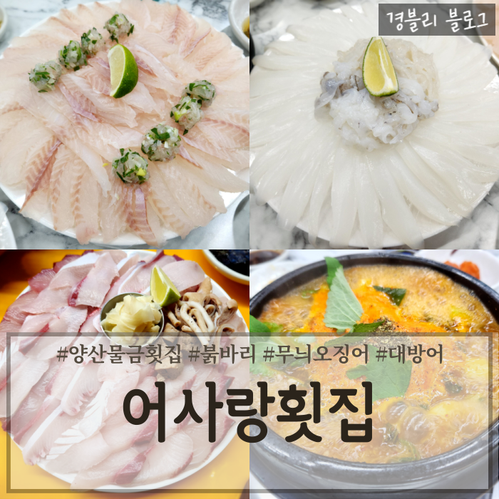  양산물금횟집 양산대방어맛집 붉바리 무늬오징어 맛집 '어사랑횟집'