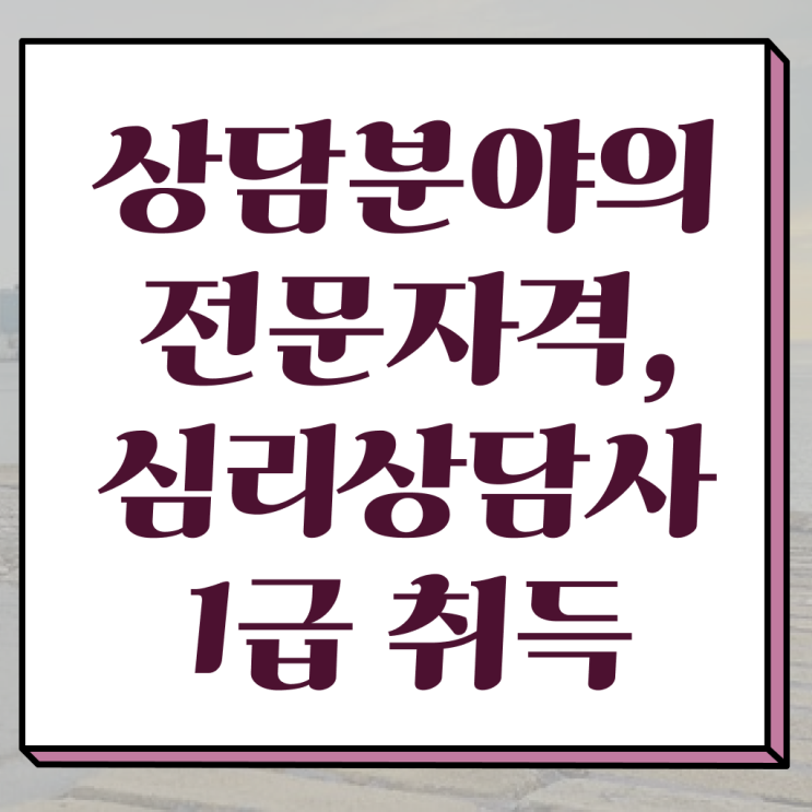  유아 심리상담 자격증 , 심리상담사 자격증 15일 만에 합격한 비법 요약