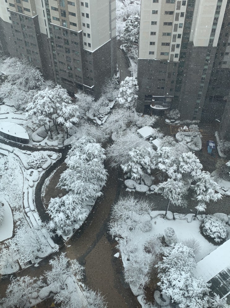 24년 첫눈 온 날 기록하며 24년 첫눈 온 날 기록하며