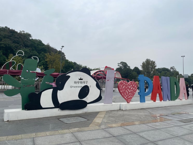  (충칭, 청두 여행) 청두 자이언트 판다기지 가는 방법(feat. 청두동역에서 판다기지 가는법) 판다기지 예약 할인 판다기지 서문 남문 차이 래서팬더 보려면 어느쪽으로