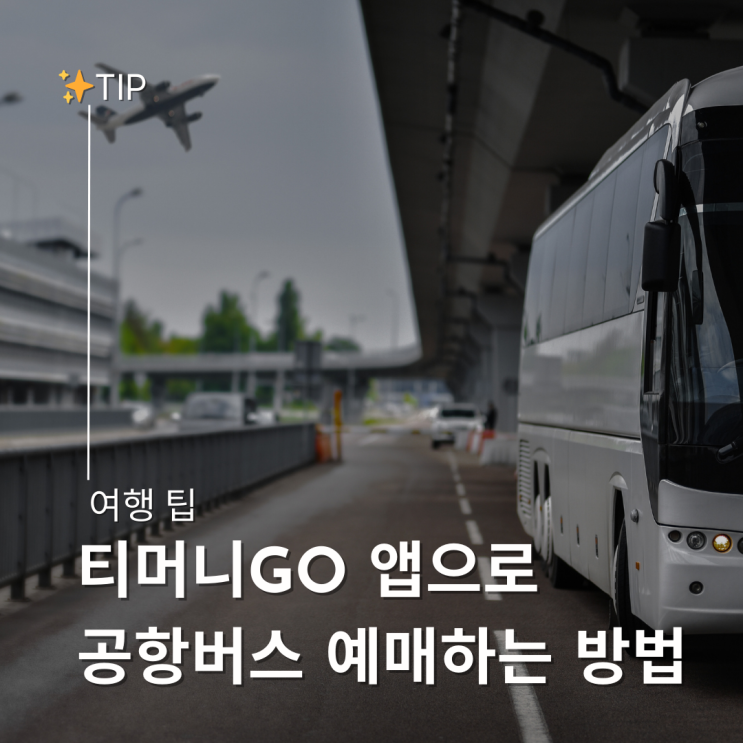  공항 리무진버스 모바일 예약 방법 - 티머니 GO (동탄역 공항버스 시간표)