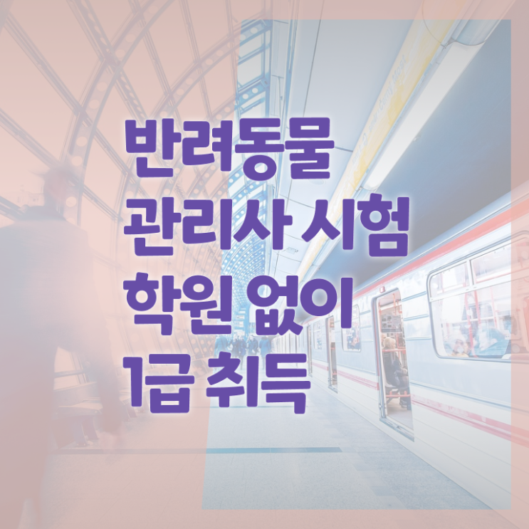  반려동물관리사2급 , 반려동물관리사 자격증 한달 만에 준비한 방법 및 채용 정보