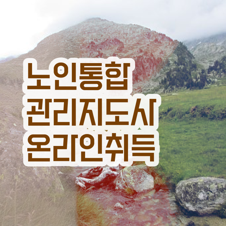  노인통합관리지도사 취업 , 노인통합관리지도사 자격증 온라인으로 쉽게 취득한 과정 , 취업