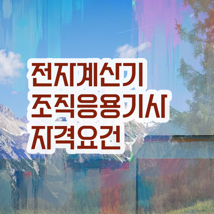  전자계산기조직응용기사 2024 전자계산기조직응용기사 자격요건 온라인 수업으로 빠르게 성공한 전략