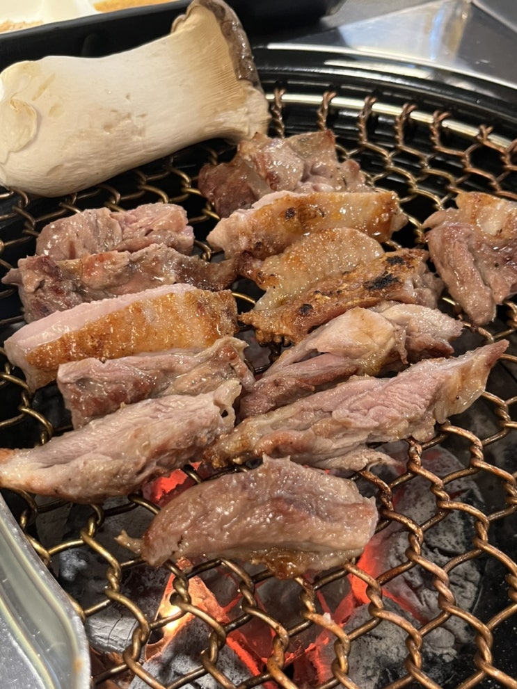  [서울간촌닭] 군자역 주변 맛집 광진구 토종닭 숯불구이