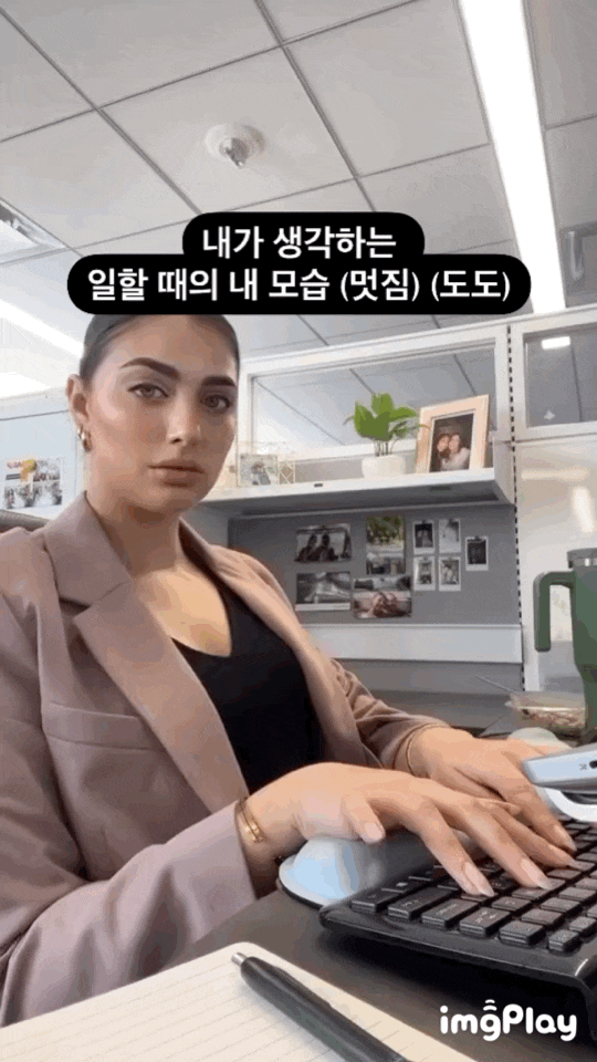  웃긴 짤 모음 17탄