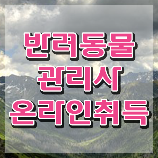  반려동물식품관리사 , 반려동물관리사 자격증 합격한 후기 정보 가득