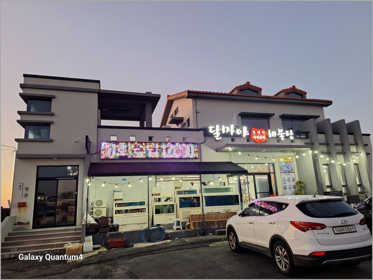  달마야해물탕 북촌에서 맛보는 제주 대방어회(특) - 숨은 맛집의 진수
