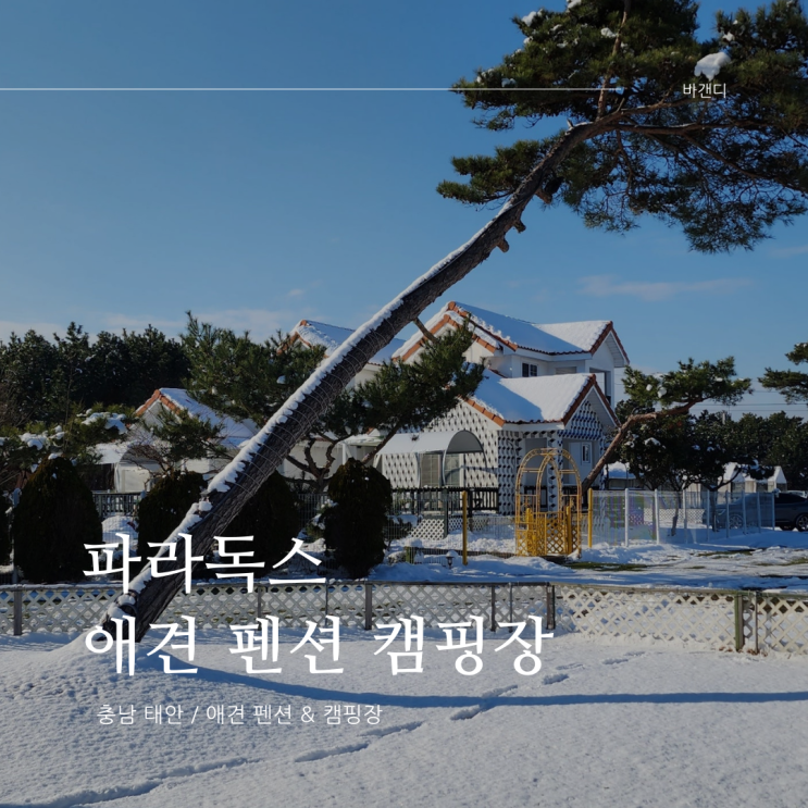 파라독스 태안 애견 펜션 캠핑장