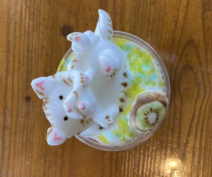  후쿠오카 유후인 카페 duo cafe:) 3D 고양이 라떼 아트가 있고 한적한 카페