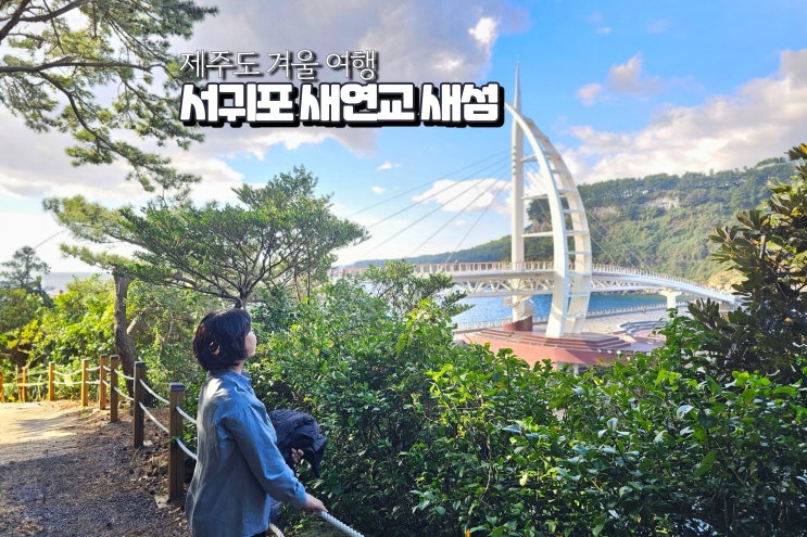  제주 서귀포시 가볼만한곳 새연교 새섬 겨울 바다 여행