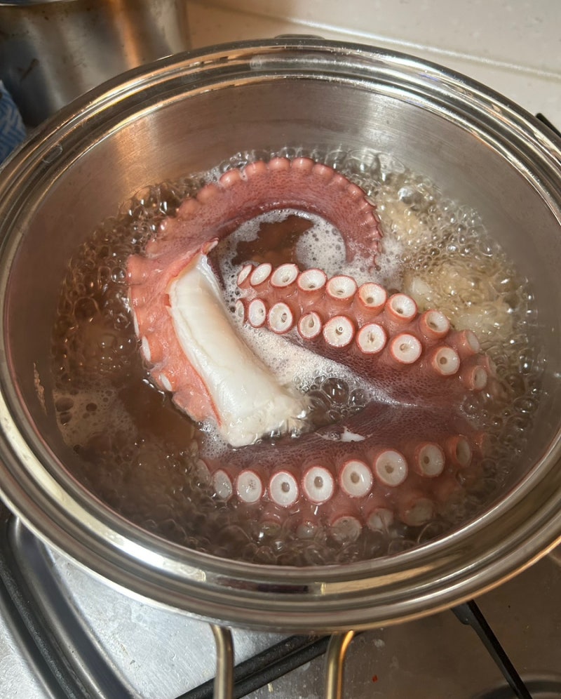 1마리에 2키로짜리 문어 삶는법 문어삶는 시간