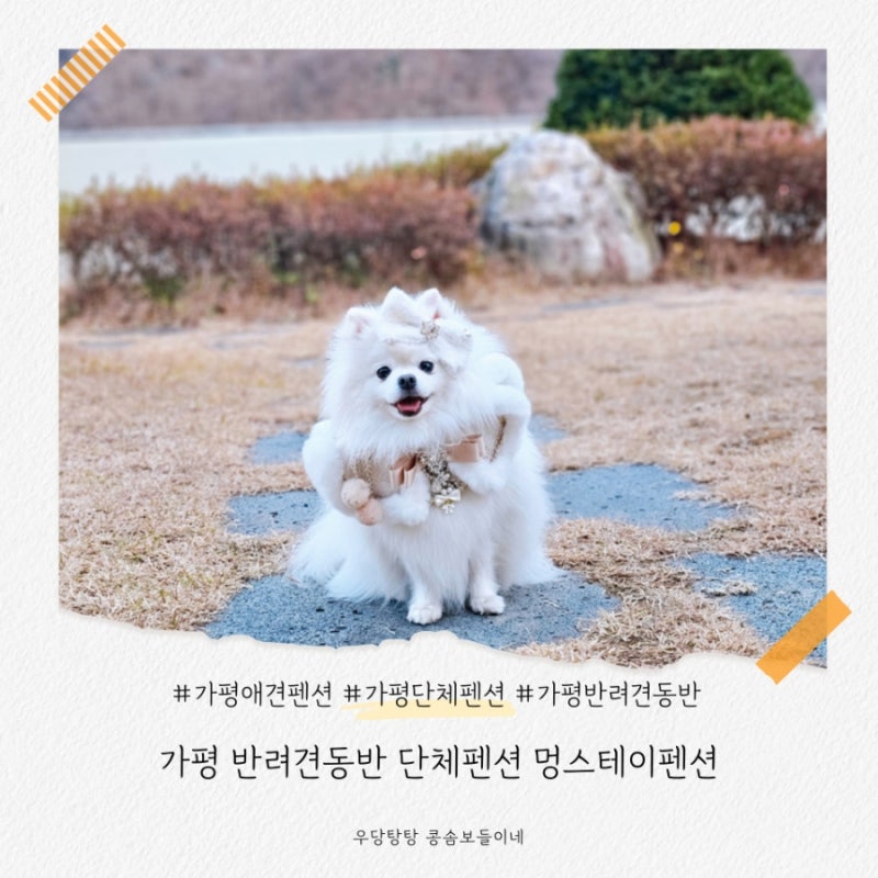 사진 9