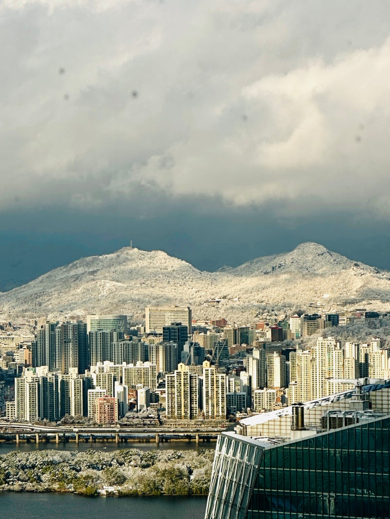 정책지식 2024.11.28. : 네이버 블로그