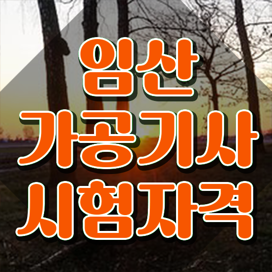  임산가공기사 자격 임산가공기사 취득자격 학점은행제로 간편하게 완료한 방법