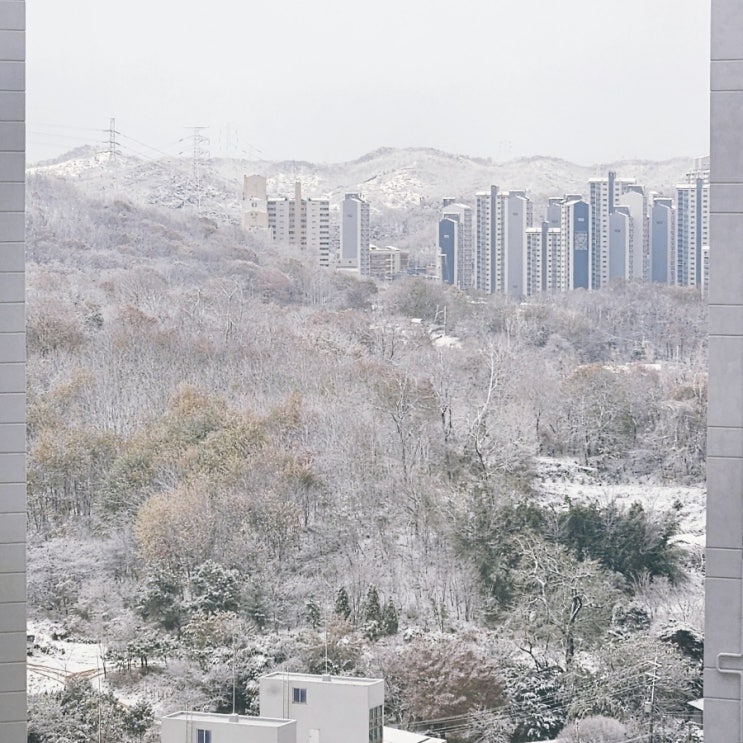  11월의 함박눈