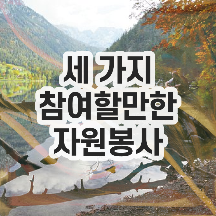  , 자원봉사지도사 자격증 2주 만에 취득했던 후기 및 취업정보
