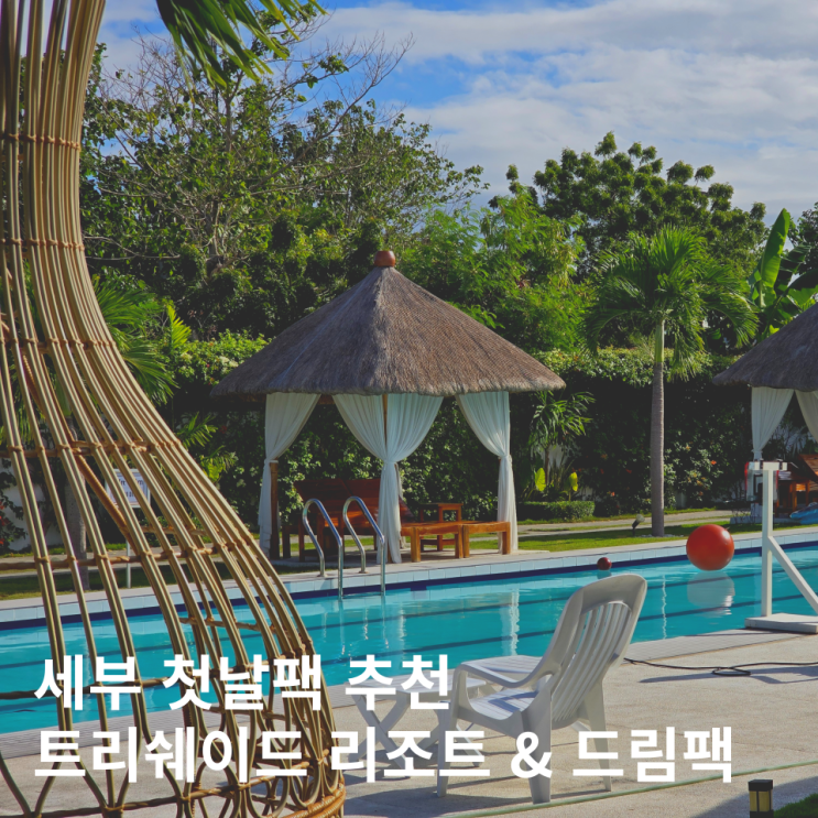  세부 트리쉐이드 드림팩 예약 마사지 후기 할인 정보