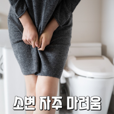 소변 자주 마려움 극복하기