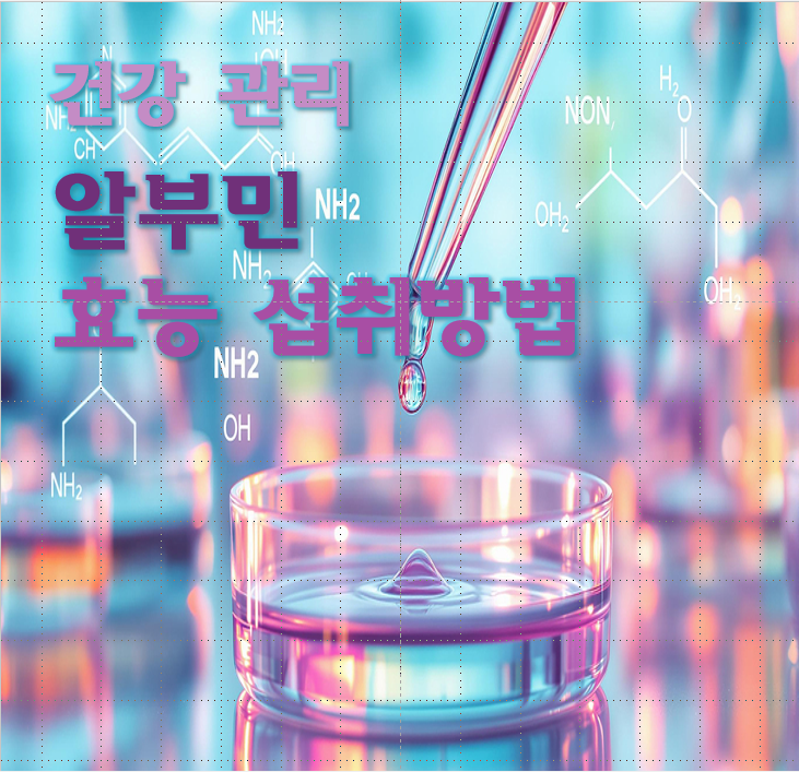   알부민의 효능, 섭취 방법, 부작용까지! 건강 필수 정보 총정리 
