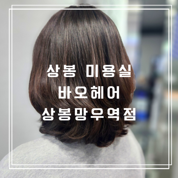  상봉 미용실 신규 오픈한 바오헤어 상봉망우역점 이용 후기